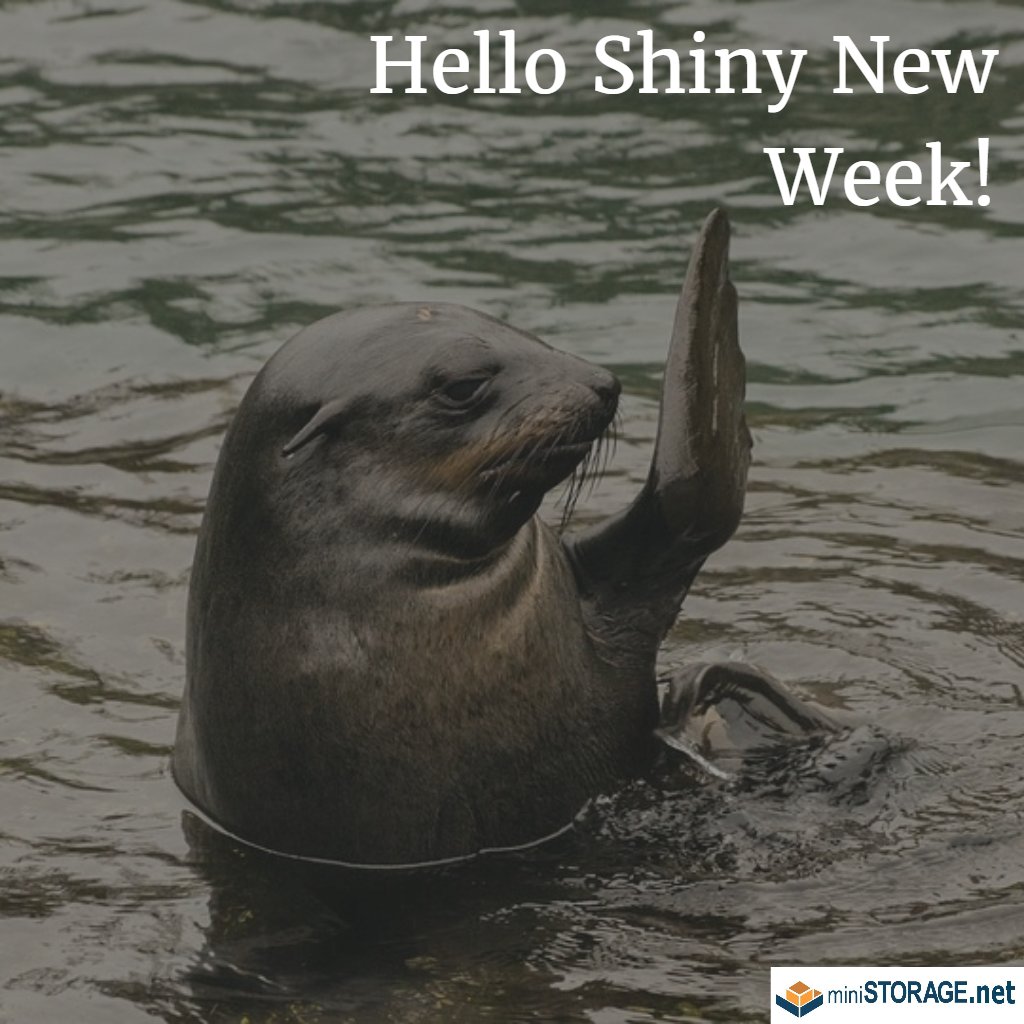 MiniStorage_CM's tweet image. Hello Shiny New Week! #mondaymotivation