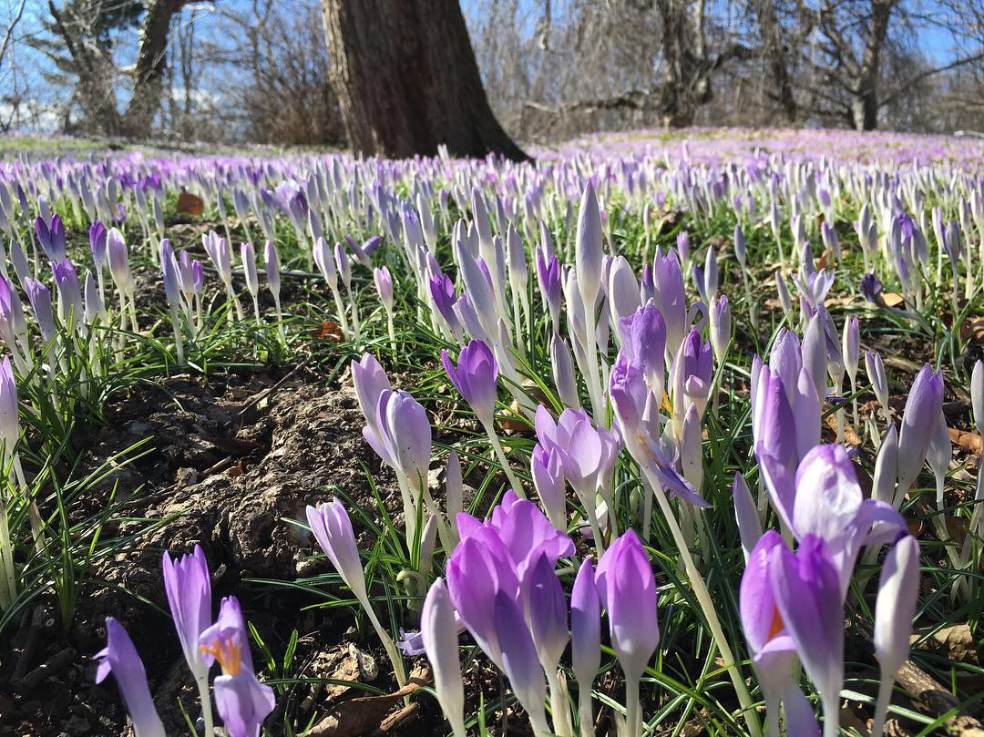 ClipperEquity's tweet photo. The annual Making #Brooklyn Bloom conference is back for 2017, with a special focus on #water and #sustainability: https://t.co/LuKAYRIgVS https://t.co/144HROo1VG