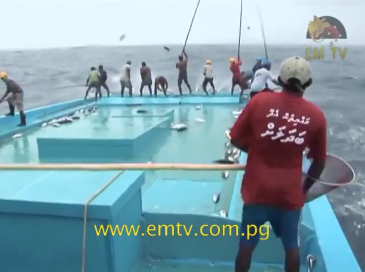 StefArmbruster's tweet photo. #PNG judge calls for tougher illegal #fishing penalties as convictions triple in 2016 https://t.co/H2BnYDdAfP via @EMTVOnline #blueboats https://t.co/MN0wNyZmIB