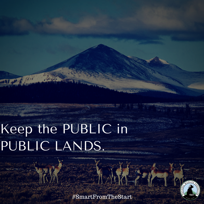 NWFoutdoors's tweet photo. . @Sen_JoeManchin please don't lock #WestVirginia sportsmen out of #publiclands planning. Vote NO on repeal of #Planning2.0. https://t.co/glrETxmpjg