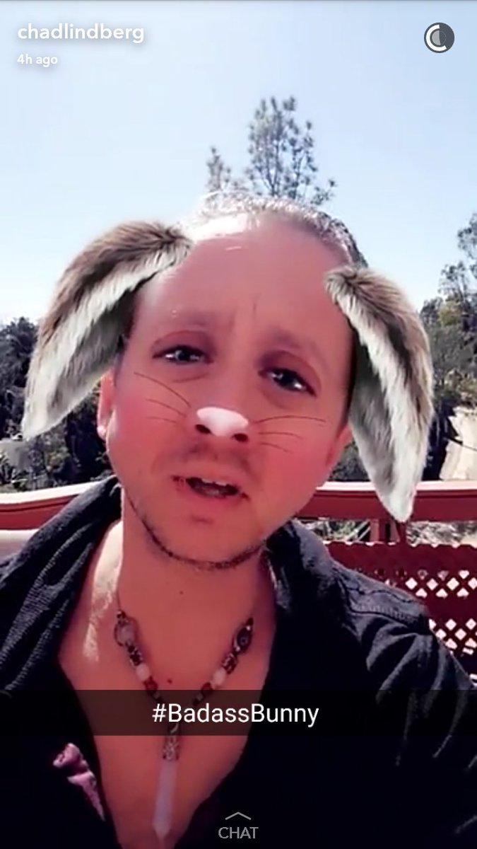 Jordi1798x's tweet photo. The holy trinity #seriousstan #badassbunny #worriedwill @ChadLindberg https://t.co/VBMc19g4zw