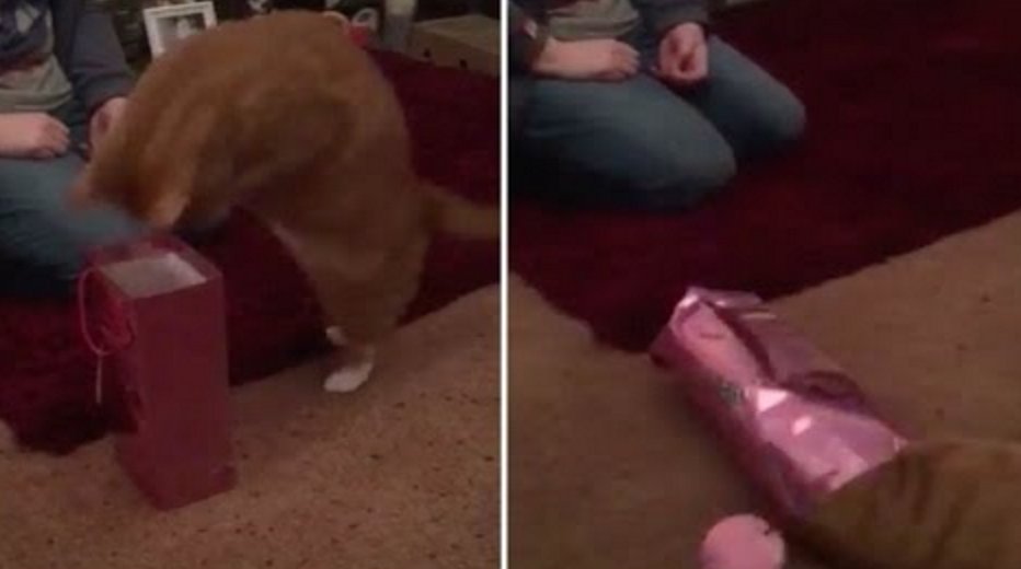 Tastefully Offensive tweet media