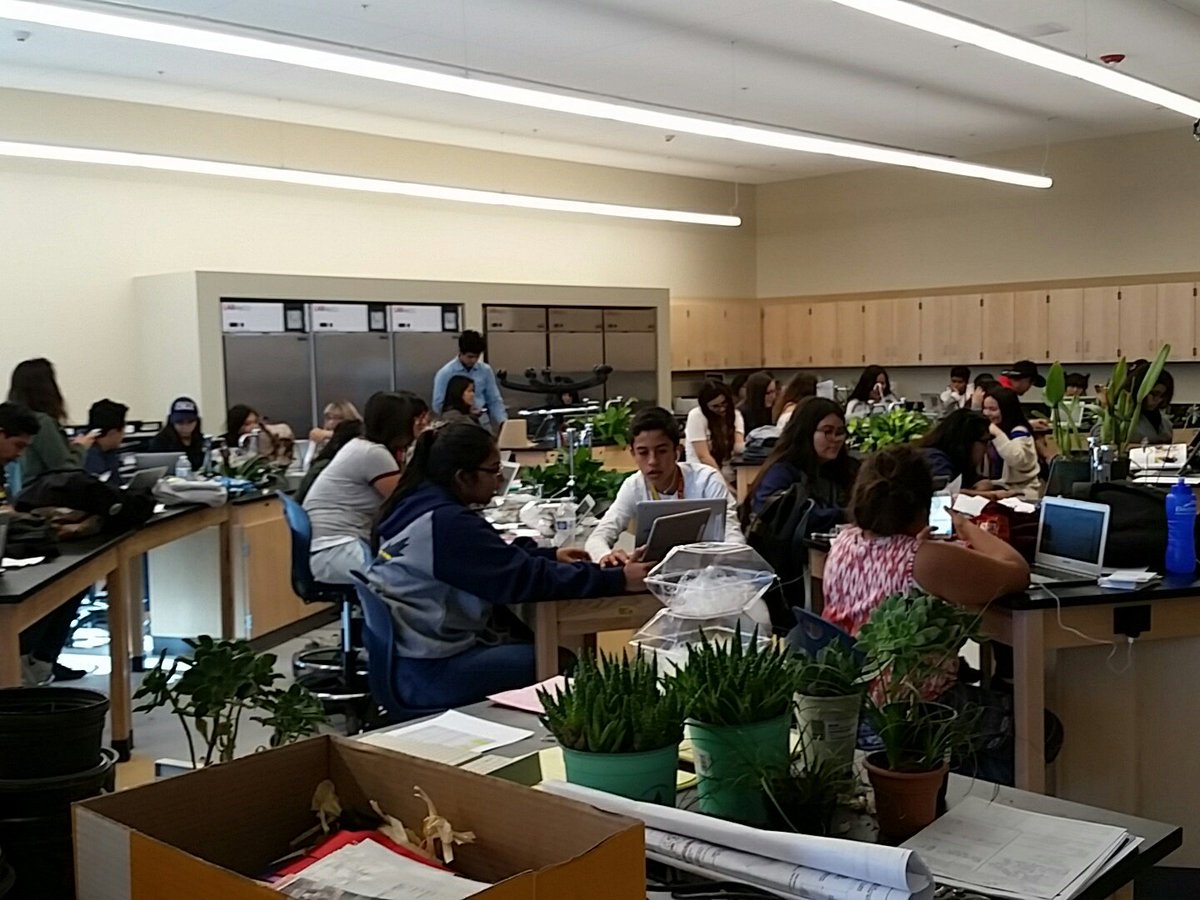 agteachIHS's tweet photo. Livestock students completing Recordbooks after a Great Date Festival. Thank you letters and Record Books needed to complete Project. https://t.co/10NvHKOxW7