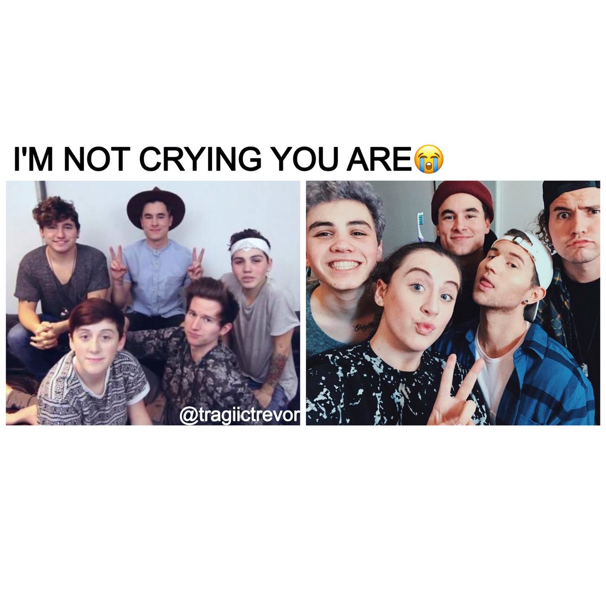 graciephobic's tweet image. 