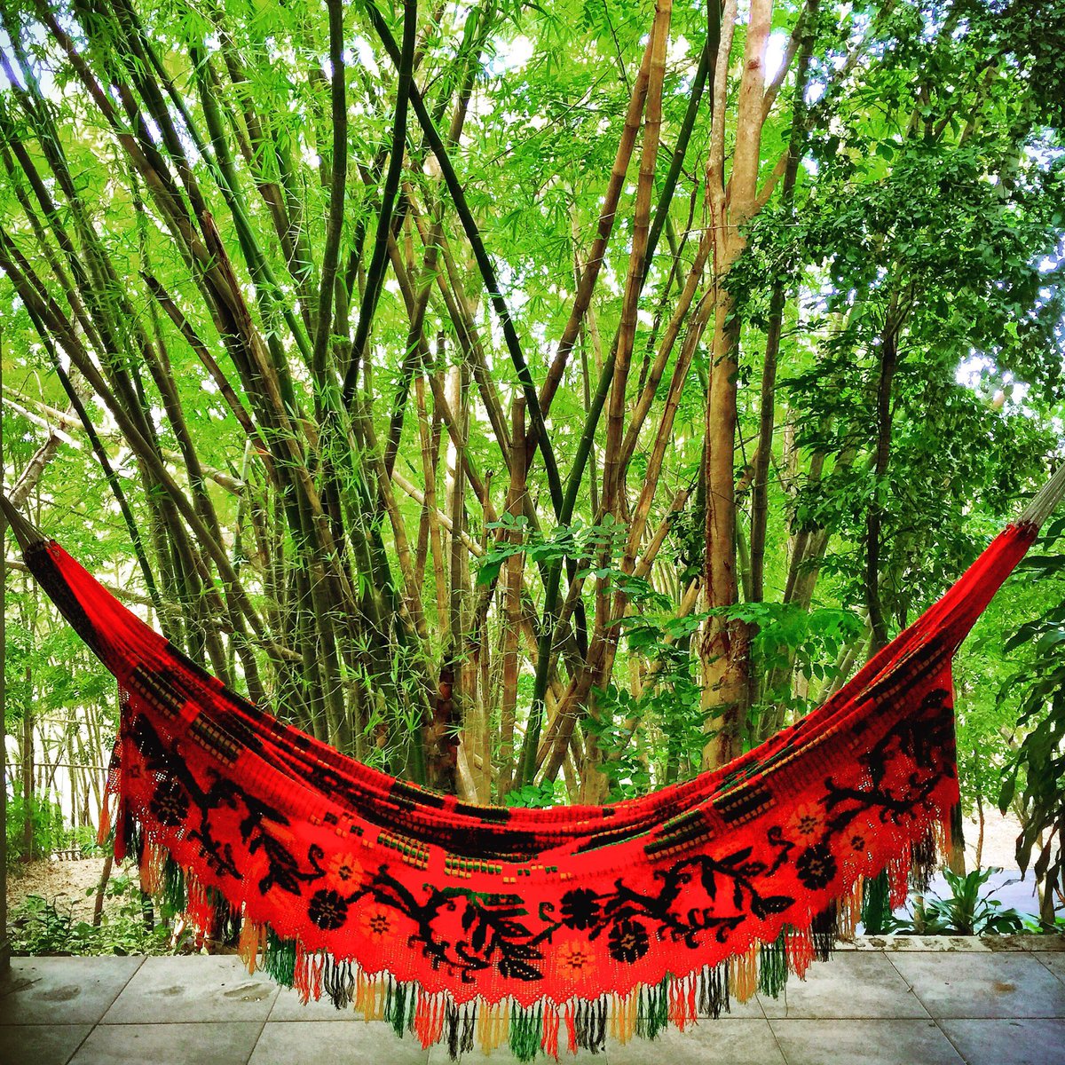 DosAguasPR's tweet photo. Who is ready to recharge this #SPRINGBREAK? Book your getaway today #Travel #puertorico #elyunque #springbreakgetaway https://t.co/Zn5pCvgXzV