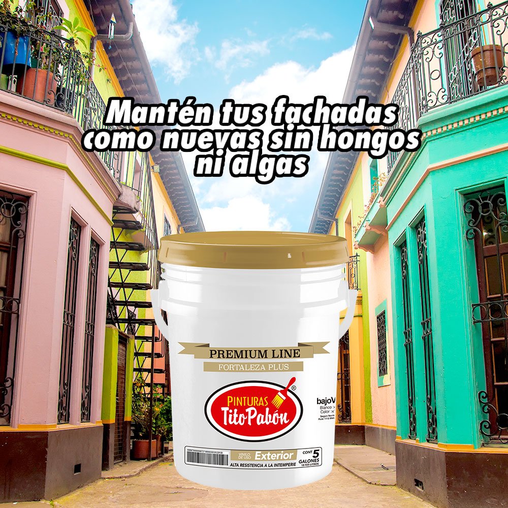 PintuTitoPabon's tweet photo. Nuestro #FortalezaPlus está especialmente diseñado para #decorar y proteger ambientes exteriores.
Encuéntralo en https://t.co/avzoK6MNsO https://t.co/6CjlNPQfif