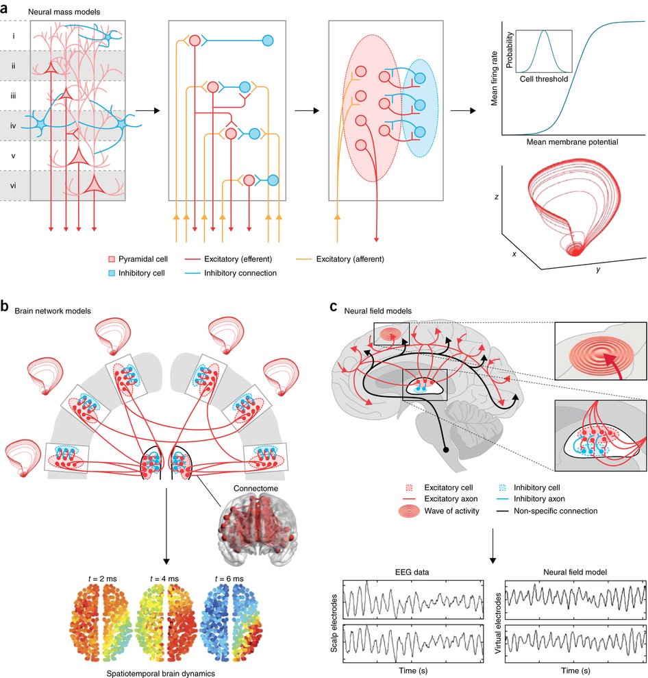 Nature Neuroscience on Twitter "Dynamic models of largescale brain