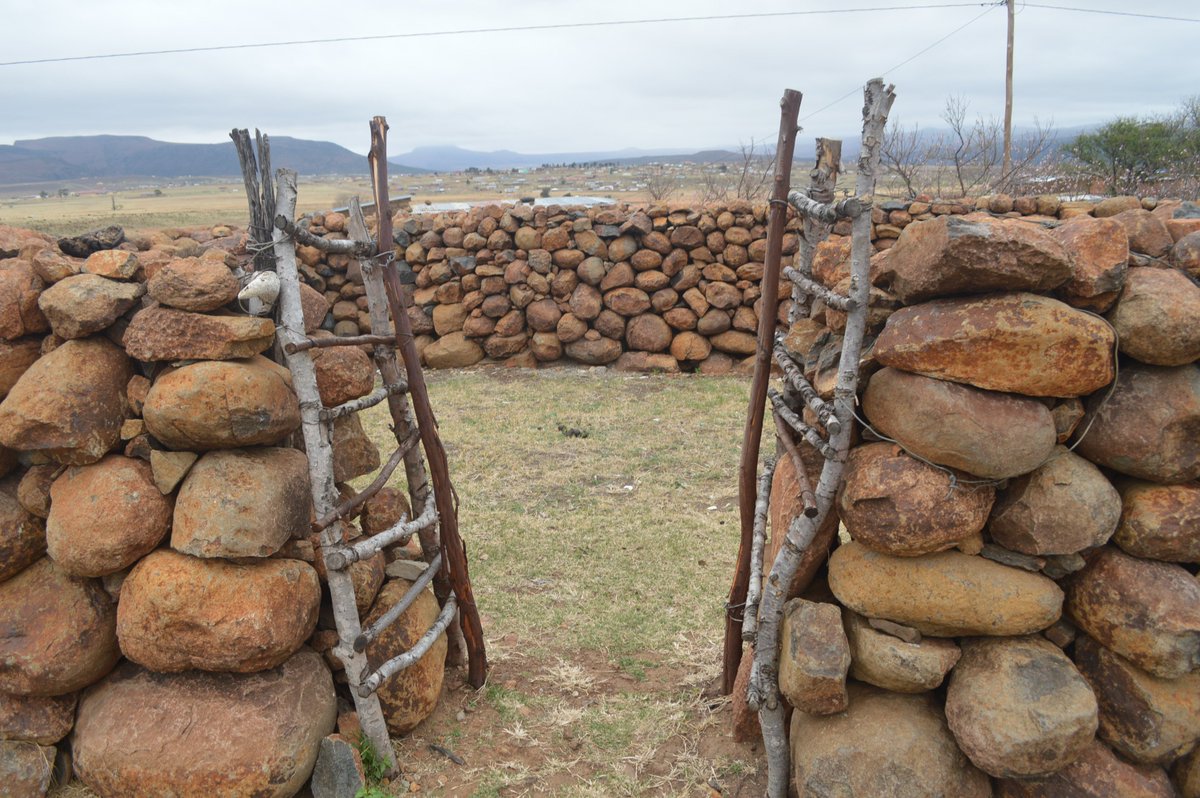 jontwingi's tweet photo. Day 9 of Xhosa vernacular architecture research on line

https://t.co/9DzhEzo1cp https://t.co/I7hv9bKjQQ