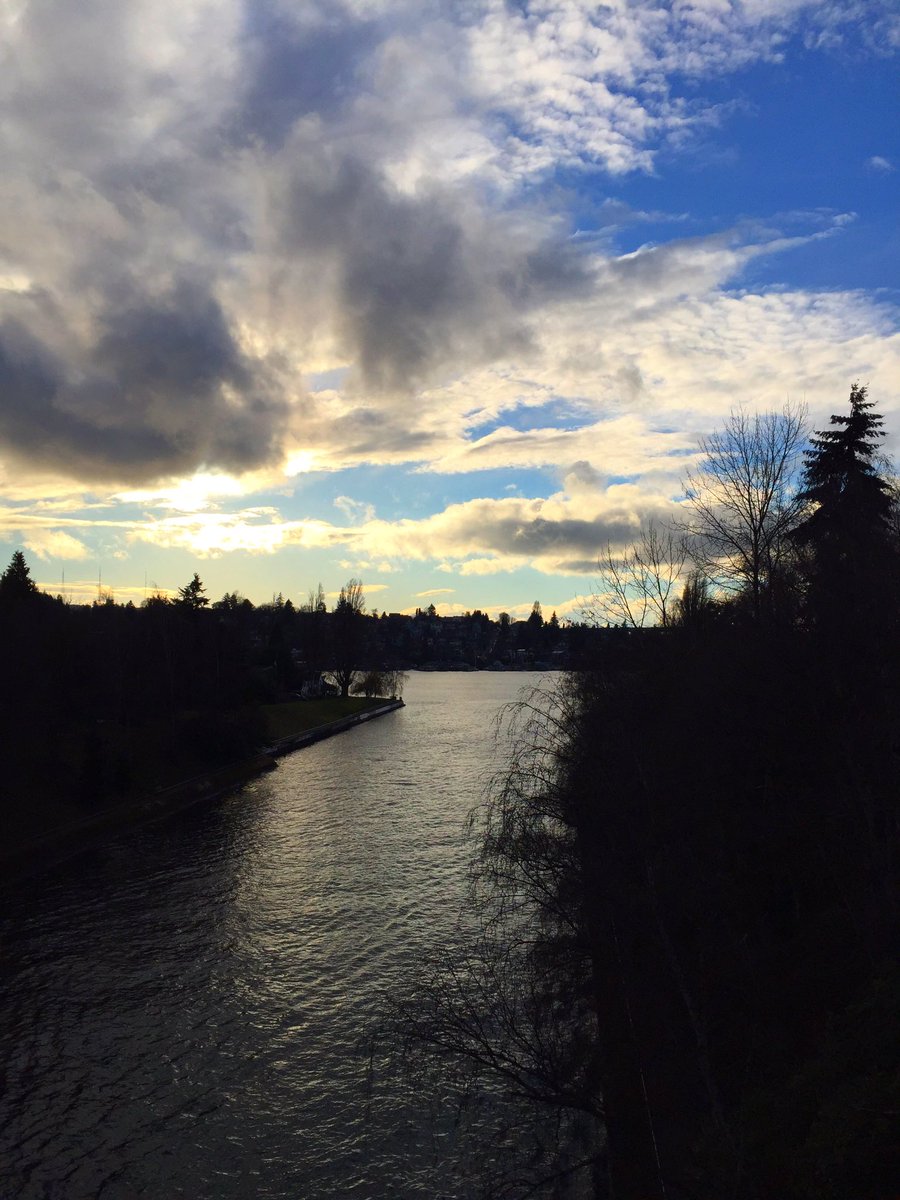 CourtStrand's tweet photo. View from my 3-mile run featured gorgeous light #MyRunningPostcards #CourtRuns #Seattle #Running https://t.co/LyNeJYfhVr