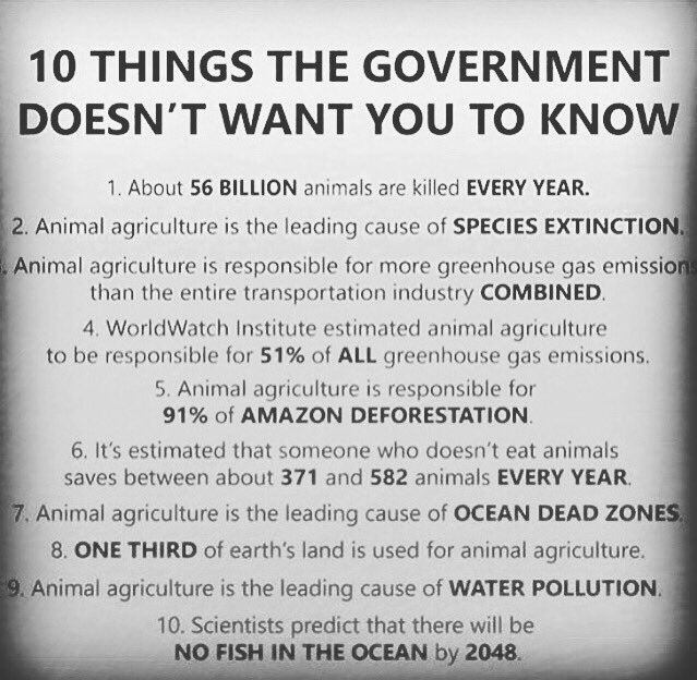 live_to_help's tweet image. This is the problem with how much meat Americans  eat.  Lower your meat intake, or completely get rid of it. #livetohelp #vegan #vegetarian