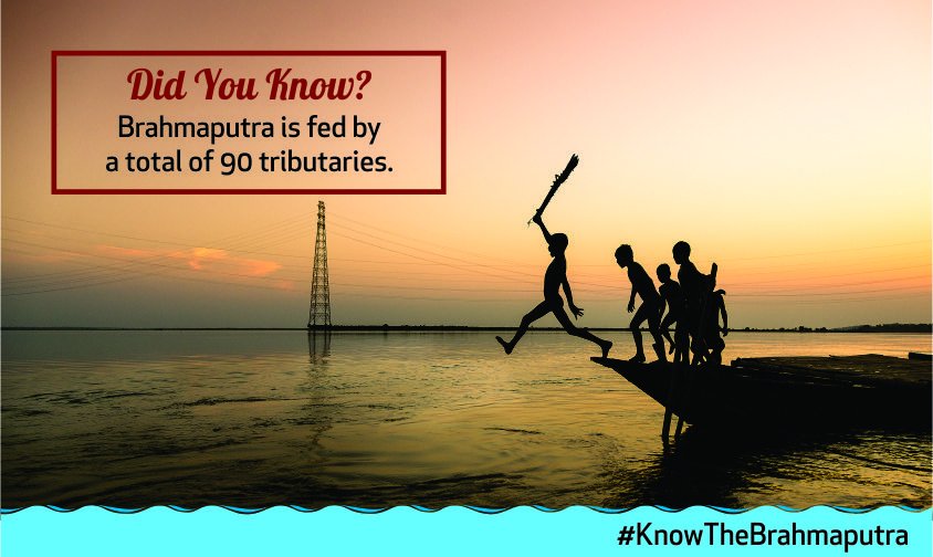 festbrahmaputra's tweet photo. The Brahmaputra is fed by an astounding 90 tributaries during its flow through the Assam valley. #NamamiBrahmaputra
 https://t.co/AGxeLPvm0l https://t.co/q9f9hn8zsK