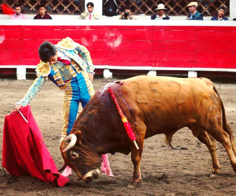 JOSANDRESMA's tweet photo. #QuitoTaurino #QueVuelvanLosTorosAQuito #EcuadorTaurino
#QuitoConToros
#QuitoLibre https://t.co/k9zwaEXrAw