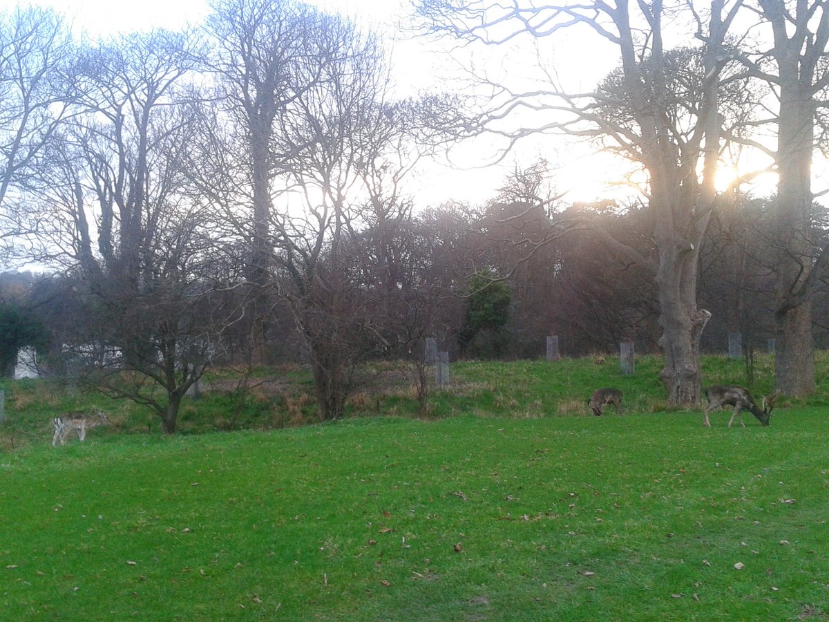 Oscar_Square_'s tweet photo. @phoenixparkopw  While walking in, north Dublin's Phoenix Park, you are still technically in the south Dublin's postal of Dublin 8. https://t.co/9Sf00Rivsw