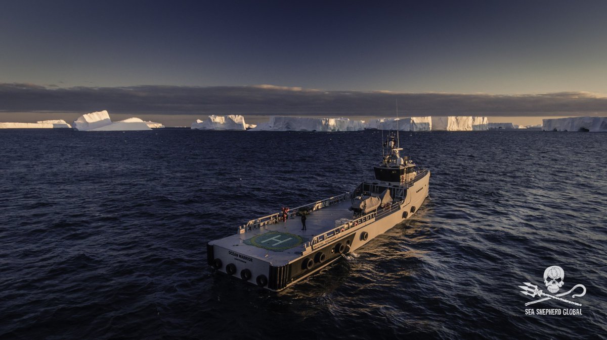 myoceanwarrior's tweet photo. TOMORROW we'll be docking in Henderson, Western Australia following the completion of #OpNemesis. See the details: https://t.co/tthpFUOI3V https://t.co/D7YYW11oz5