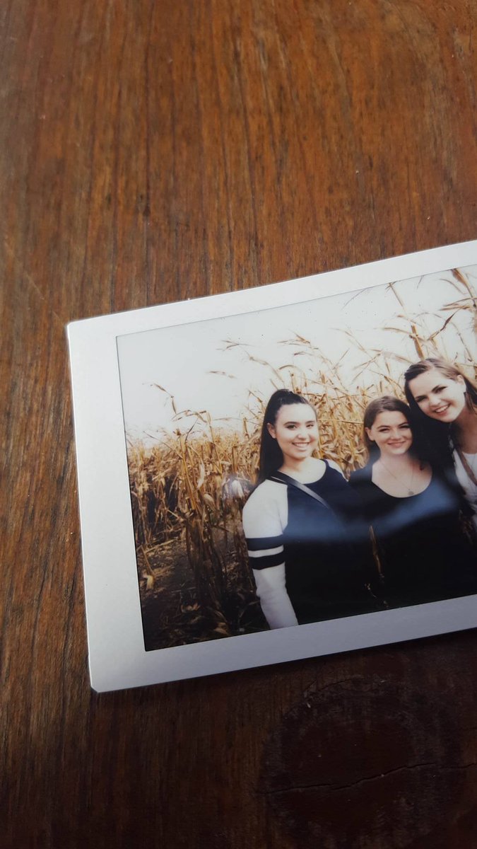 Getting lost in a cornfield <>

#uiucactualsororitymove #uiucpanhelprideweek #adpi