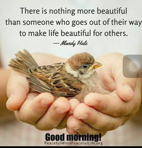 Vina Ahuja tweet media