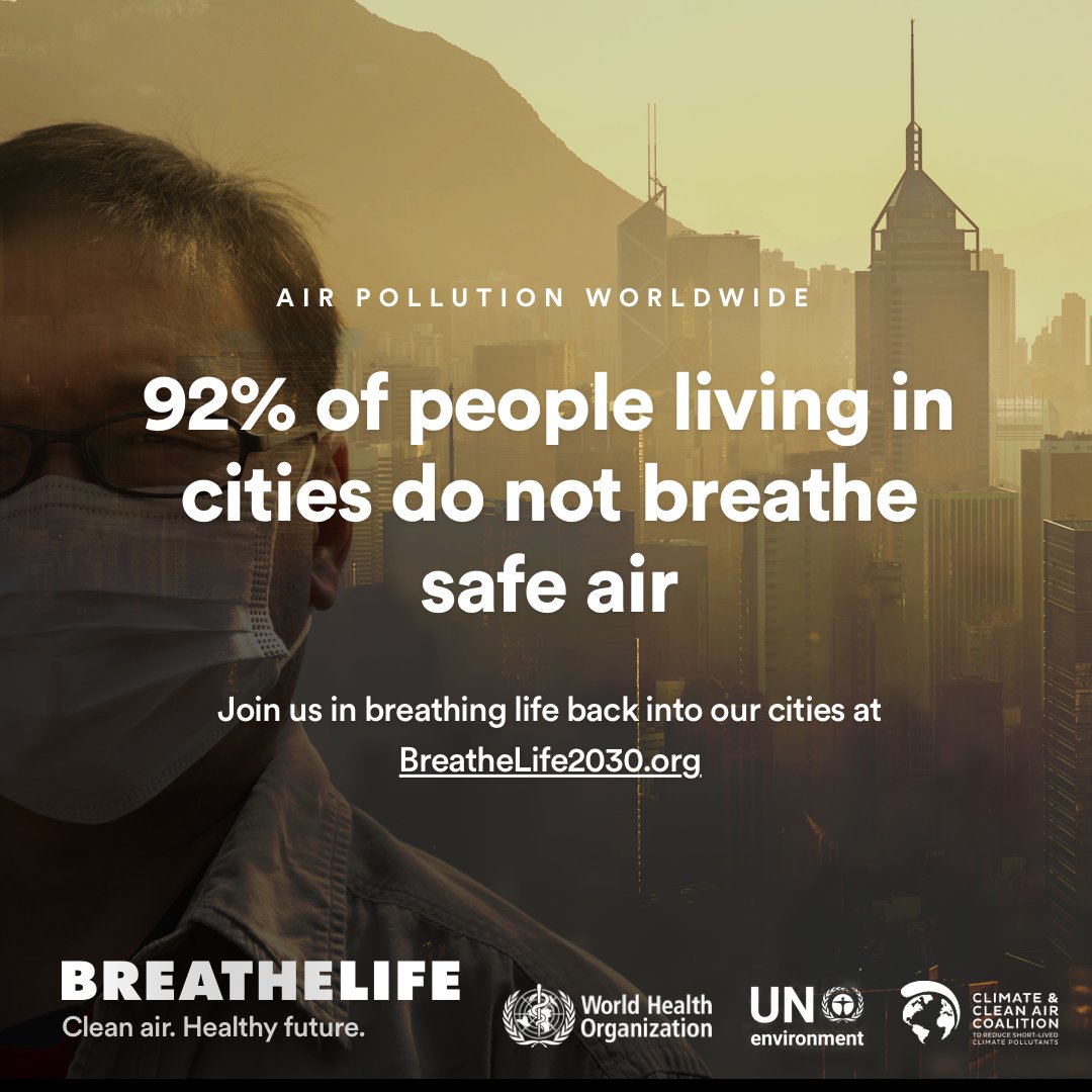 UNEP's tweet image. Outdoor air pollution linked to over 3 million deaths. Can trees help us #BeatPollution? bit.ly/2mvBMRr #BreatheLife