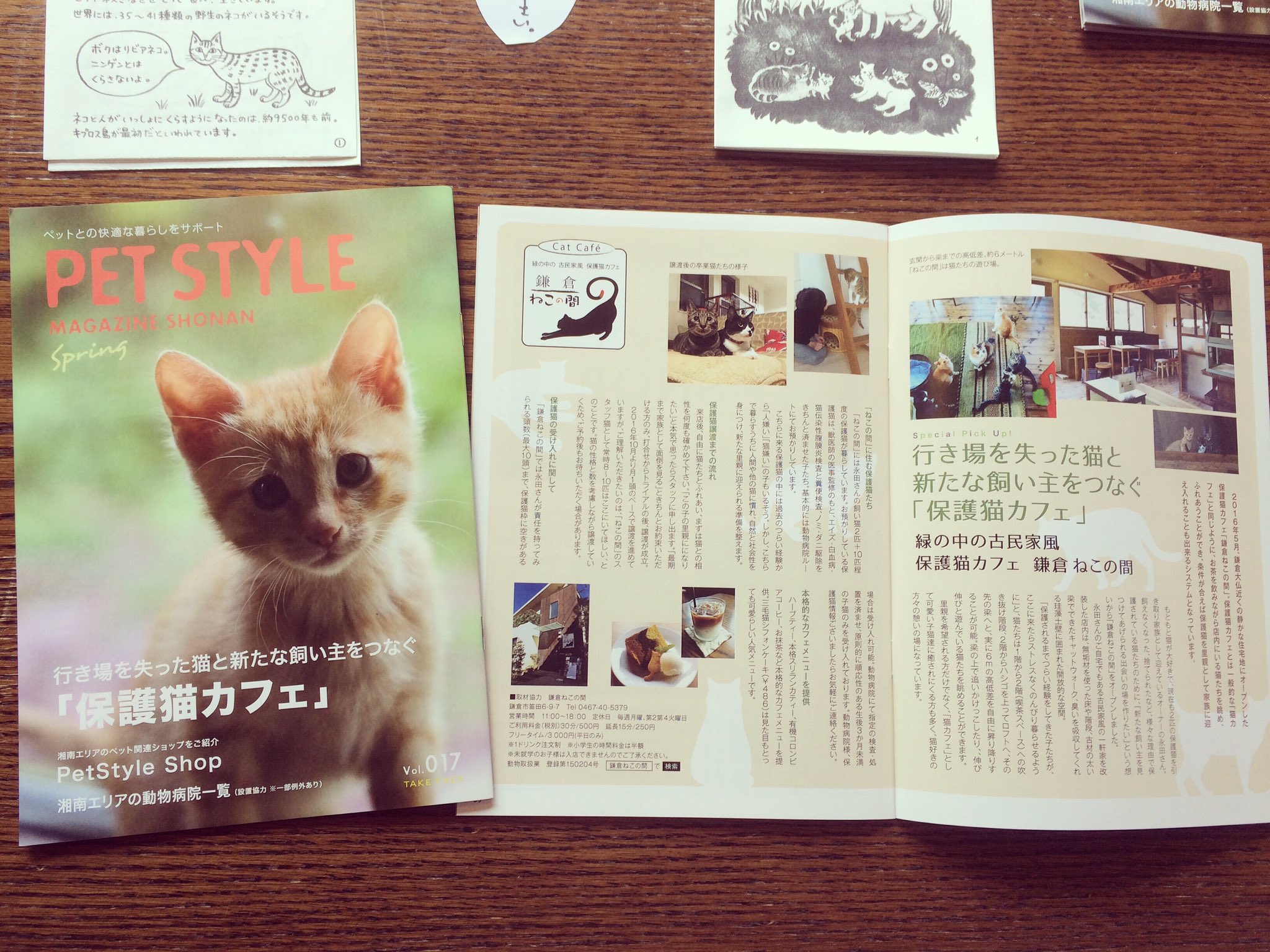 保護猫カフェ 鎌倉ねこの間 湘南エリアの動物病院に配布されるフリーマガジン Pet Style 春号の巻頭は鎌倉ねこの間特集です 表紙は生後3ヶ月のトラ 湘南地域の方 動物病院に行かれた際にはぜひご覧くださいね 鎌倉ねこの間 鎌倉猫カフェ