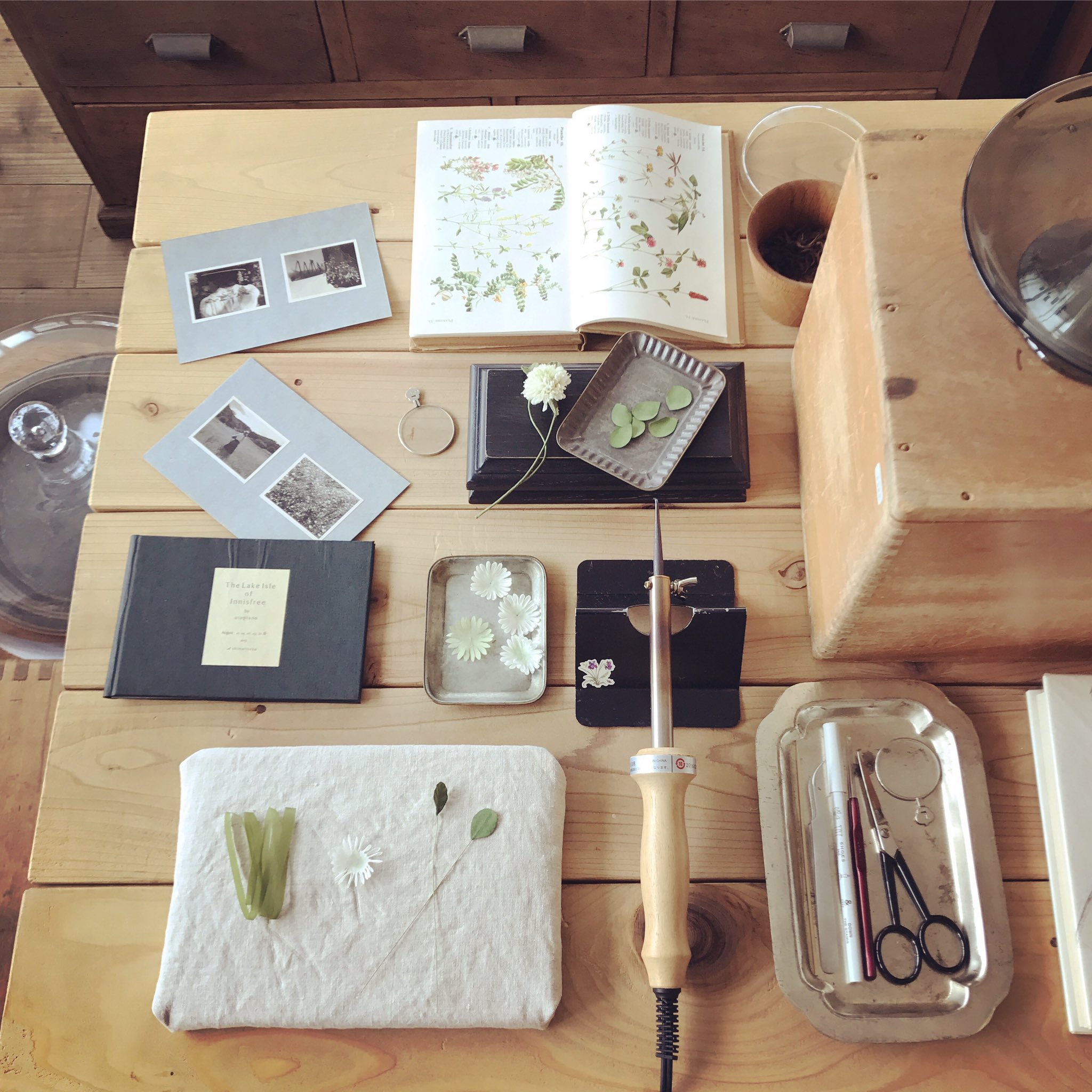 最大66 Offクーポン 布花標本 布で作る20の植物とブローチ utopiano 著 Www Fitnessmachine Com Ar 最大66 Offクーポン 布花標本 布で作る20の植物とブローチ utopiano 著 Www Fitnessmachine Com Ar