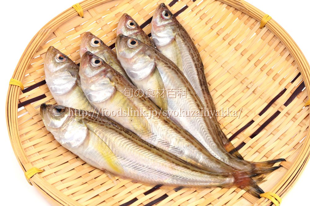 旬の食材百科ーフーズリンク 更新 ハタハタ この時期 兵庫県あたりで水揚げされたハタハタがとても安くて美味しいです さっと 塩焼きにしたり 煮付けても美味しいですが トマト共にオーブン焼きにするのも簡単でお勧め 食材百科に写真やレシピも加え 旬の食材百科ーフーズリンク 更新 ハタハタ この時期 兵庫県あたりで水揚げされたハタハタがとても安くて美味しいです さっと 塩焼きにしたり 煮付けても美味しいですが トマト共にオーブン焼きにするのも簡単でお勧め 食材百科に写真やレシピも加え
