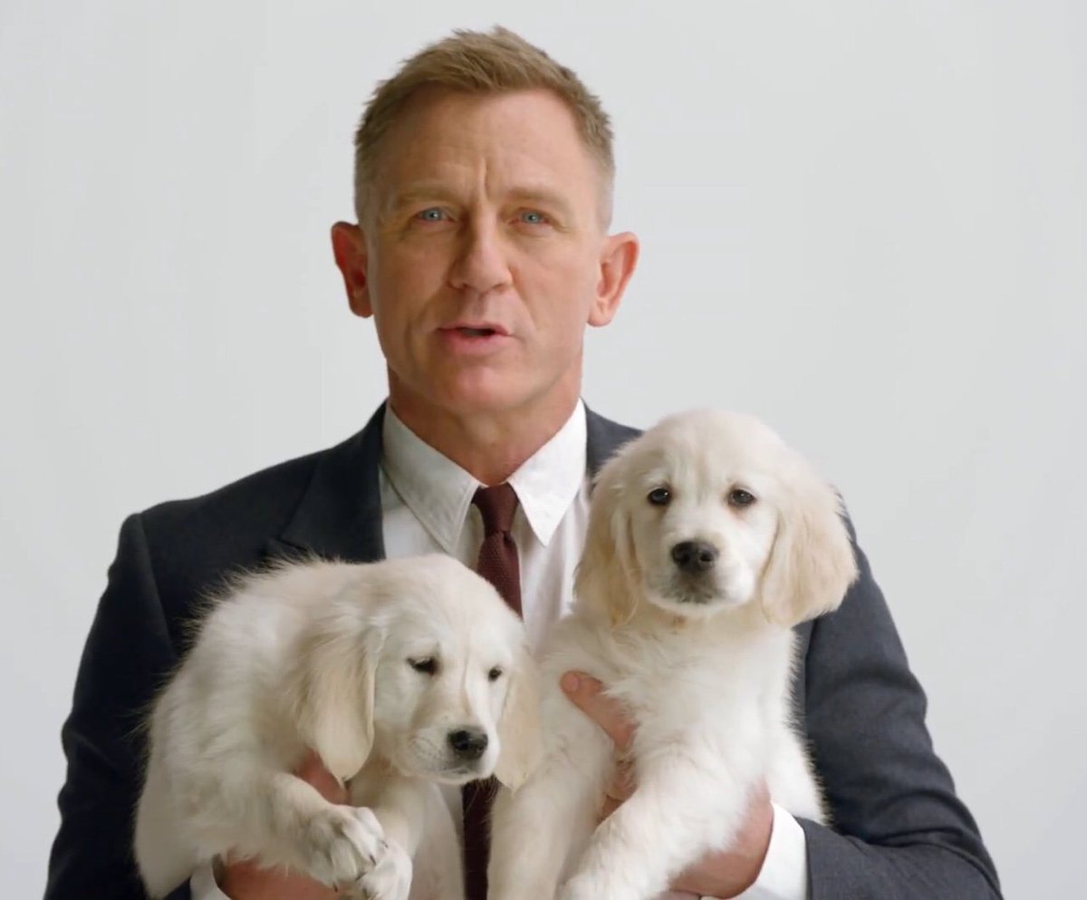 kinopoiskru's tweet image. Дэниэл Крэйг и песики желают вам хорошего дня 
amp.gs/YgUm