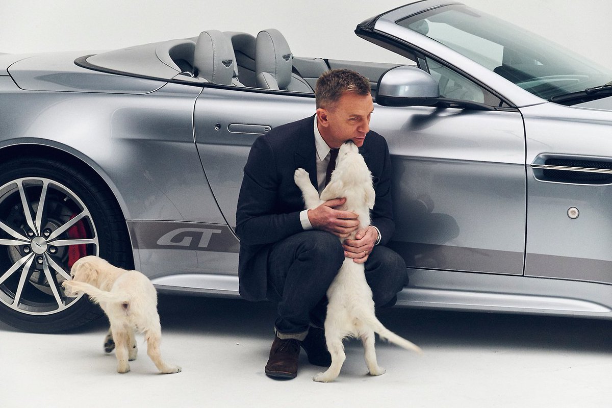 kinopoiskru's tweet image. Дэниэл Крэйг и песики желают вам хорошего дня 
amp.gs/YgUm