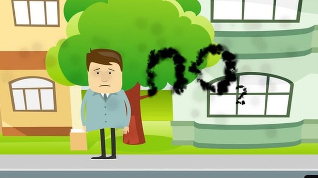 BlueLineMed's tweet image. What does air pollution do to our bodies? - BBC News crwd.fr/2mgVuPX