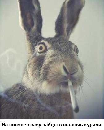 Переглянути зображення у Твіттері Переглянути зображення у Твіттері