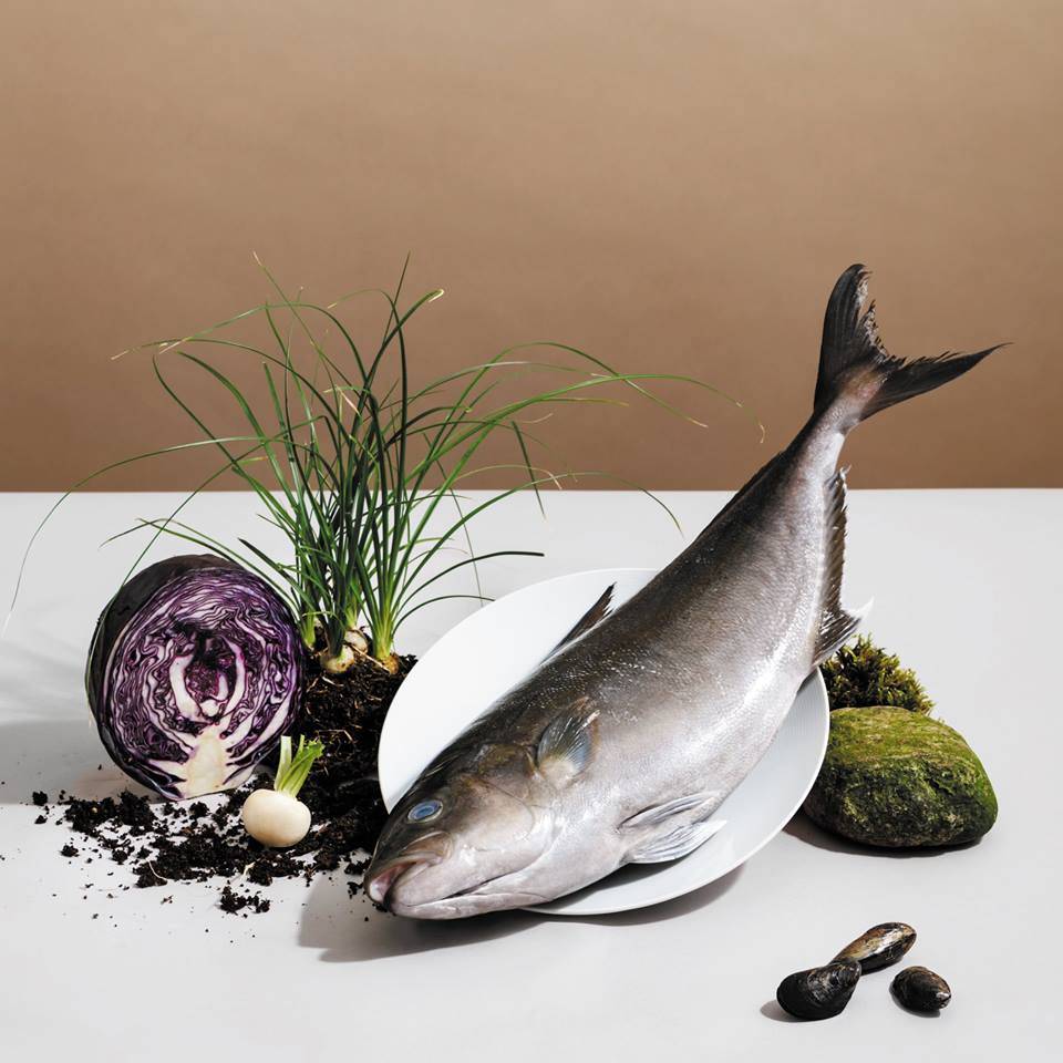 #Vancouver's Fairmont Pacific Rim set to open new flora-inspired Botanist restaurant this April ow.ly/elBP309EEGf #vaneats