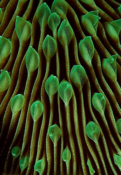 Divphotoguide on Pinterest 
buff.ly/2mYlm1i