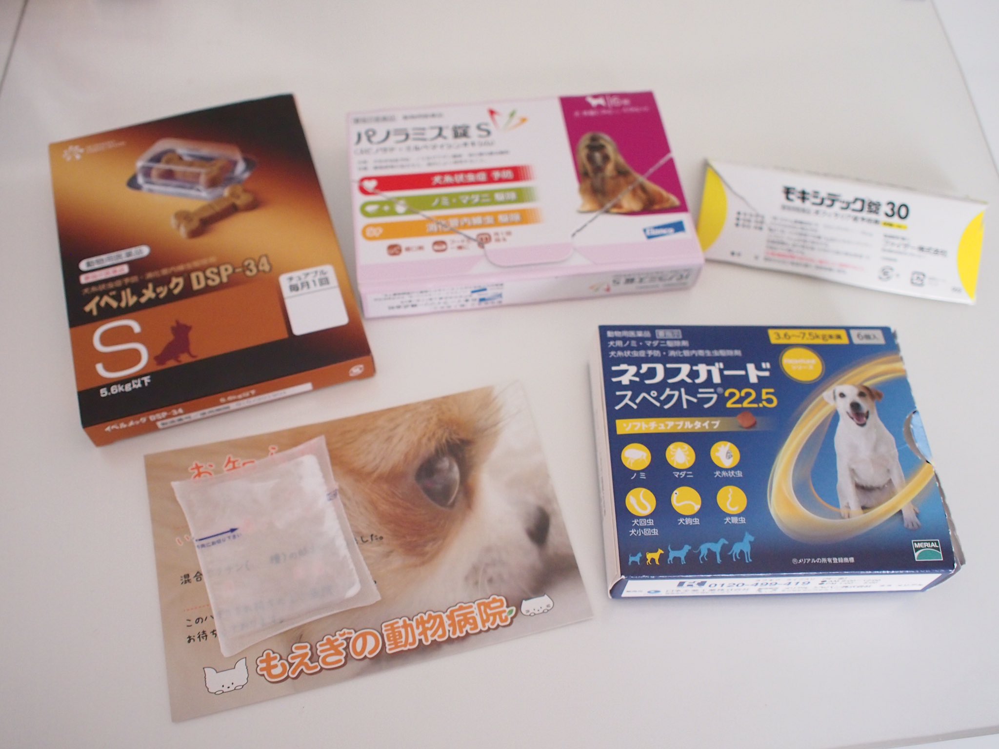 もえぎの動物病院 Auf Twitter フィラリア検査 予防の時期がやってきました 春だけのキャンペーン中です 詳しくはhpまで 動物病院 犬 猫 いぬ ねこ イヌ ネコ 愛犬 愛猫 Dog Cat フィラリア フィラリア予防 フィラリア予防