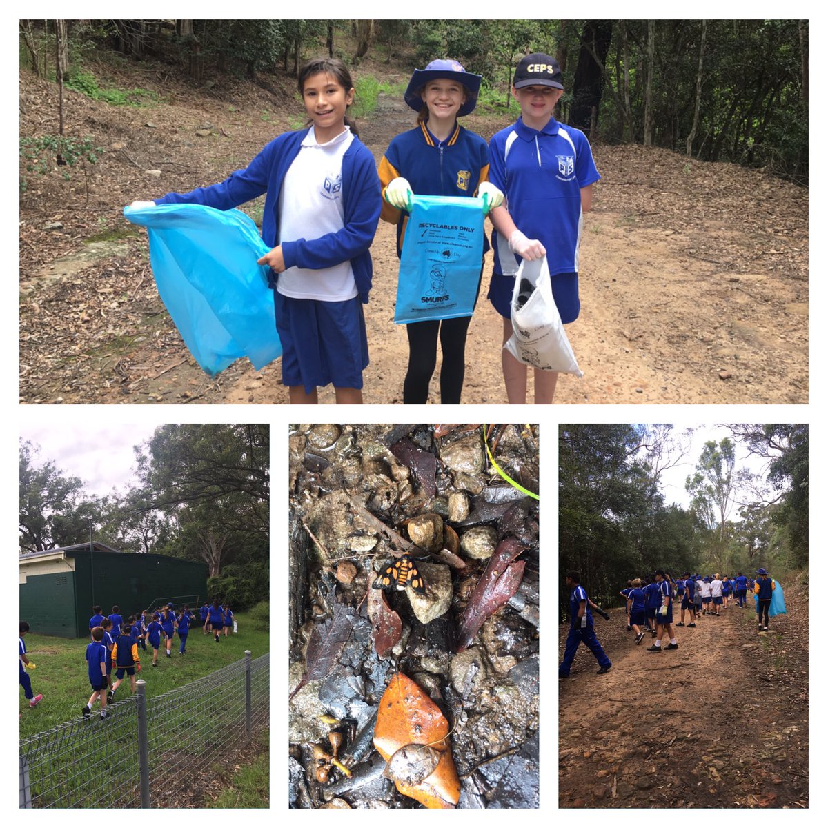 melhawkins_'s tweet photo. @CampbelltownEPS Ss doing their part for #CleanUpAus (albeit delayed) Well done SRC! @cook_janene https://t.co/bdWiAVIIp4