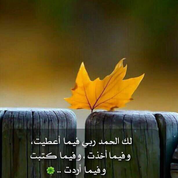 اللهم لنا أحباب يحتضنهم الثرى فهم في حماك يا الله اللهم اغفر لهم وارحمهم وعافهم واعف عنهم وأكرم نزلهم ووسع مدخلهم '