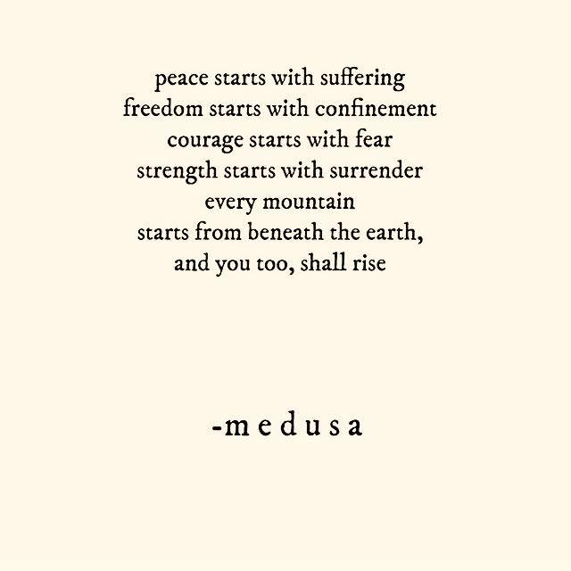 NAMISonoma's tweet photo. Never give up the fight toward improving your mental health. You too can rise! #StigmaFree https://t.co/bUsNP2YUgu
