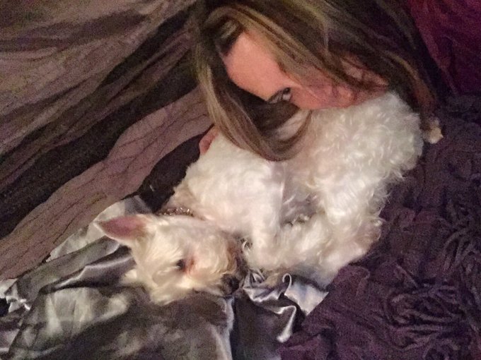 #goodnight #clubsavannahjane #Porn #Schnauzer https://t.co/sNX4qrXkEP<a href="/tag/goodnight"class="tags">#goodnight</a><a href="/tag/clubsavannahjane"class="tags">#clubsavannahjane</a><a href="/tag/porn"class="tags">#Porn</a><a href="/tag/schnauzer"class="tags">#Schnauzer</a>