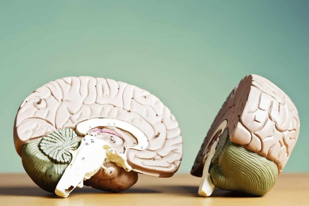 De geheime ingrediënten voor optimaal leren, opleiden en onderwijzen buff.ly/2lFMzFN