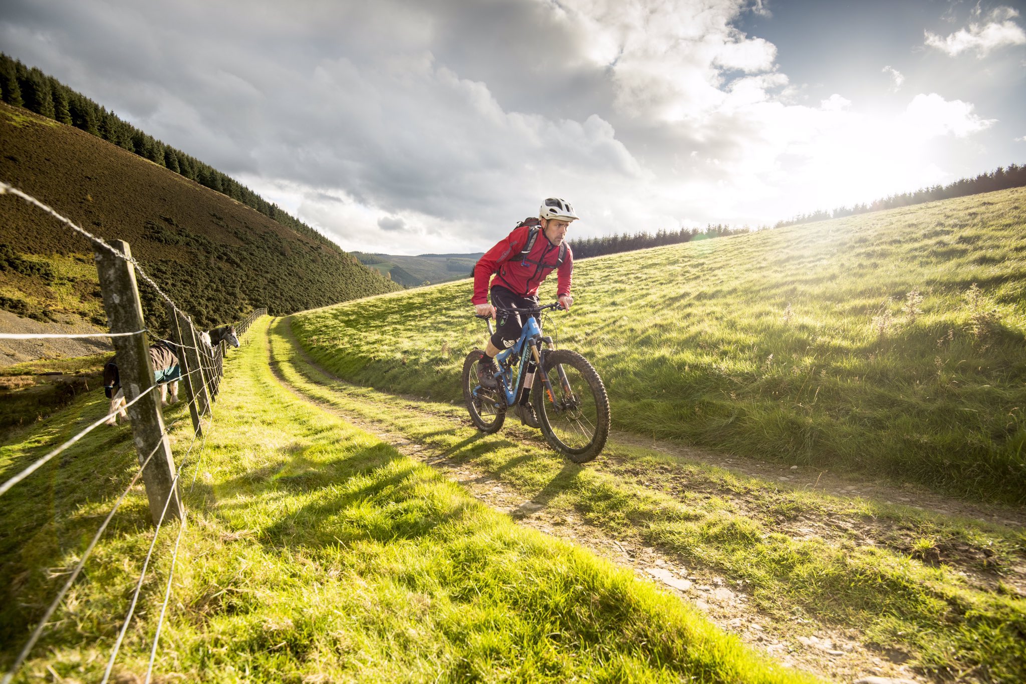 dirt school glentress
