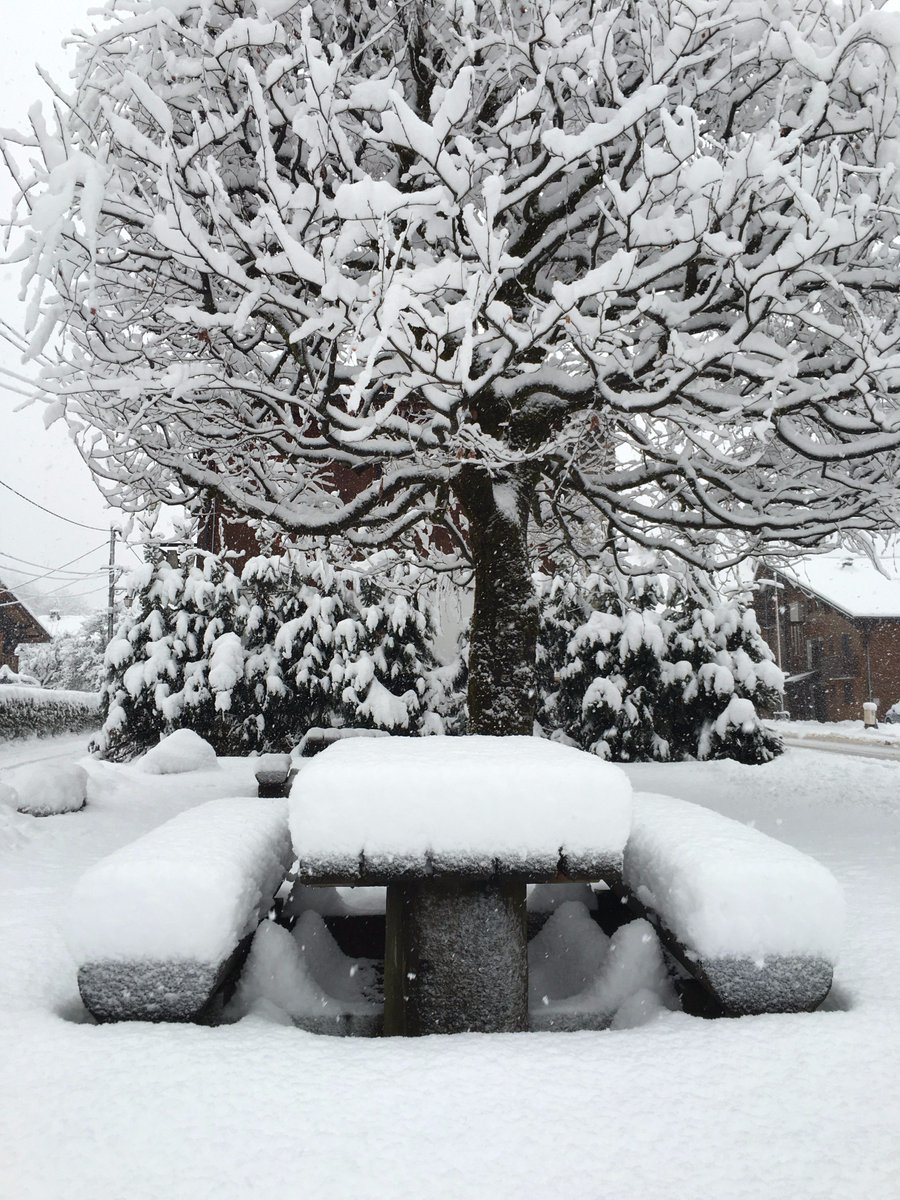 #powderday today in #Morzine #winterisback enjoying more #snow