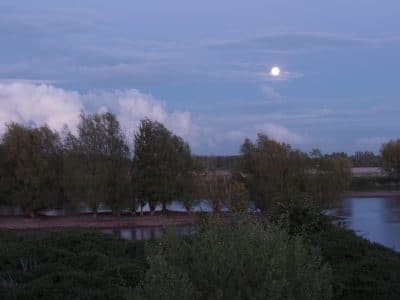 rivieractief's tweet photo. Nog vier nachten slapen #vollemaan https://t.co/YtKPloebEt #wandelen @UitInTiel @gemTiel @betuweroutes @Regionaalu @infomaasenwaal @oudvark https://t.co/XtXYSb8cwm