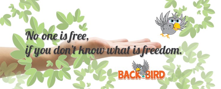 BackBirdGame's tweet image. No one is free, if you don't know what freedom is.
backbirdgame.com/wisdom-of-back…
#bb #backbird #backbirdgame #game #mobilegame #dialog #wisdom