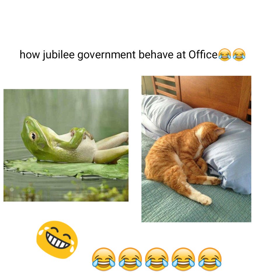 korirfraizer's tweet image. #LecturersStrike
Comrades 😆😆😆