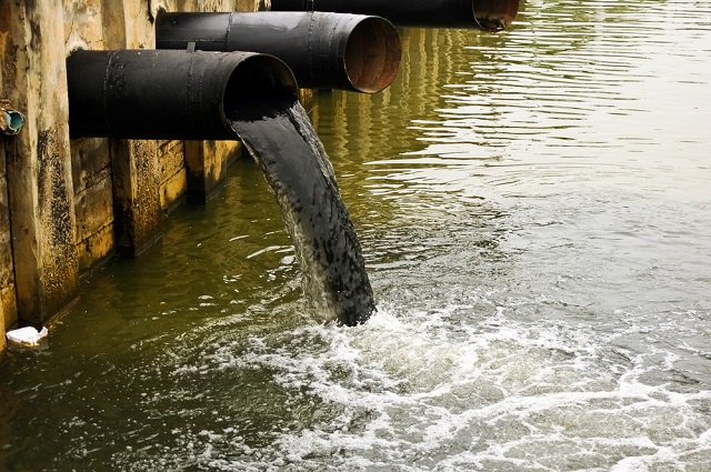 anchorpumps's tweet photo. The disturbing effects of water pollution and how you can help! https://t.co/cUEV8na6e3 https://t.co/s82mUPz6cf