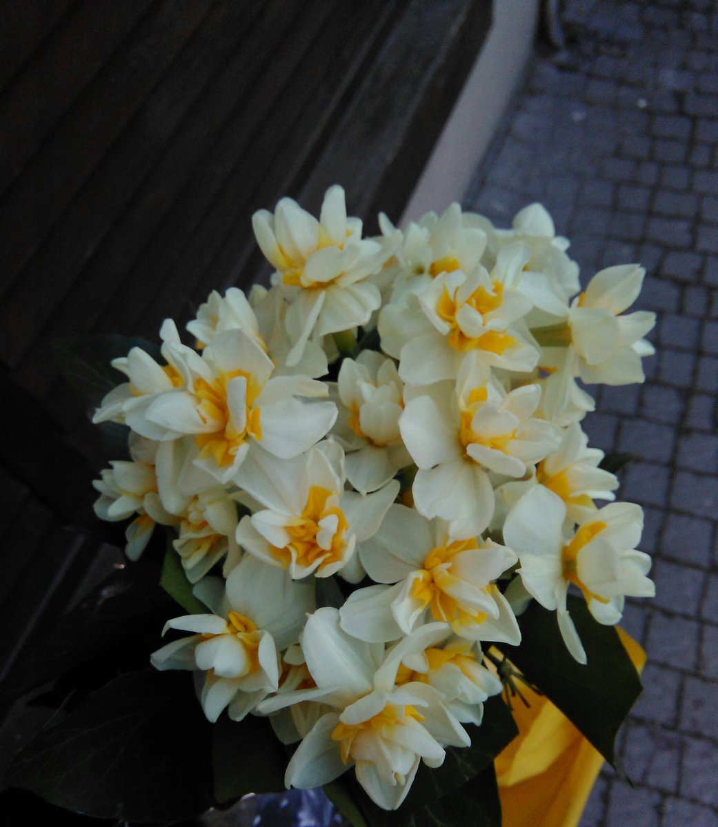 Nergis, çünkü Rasulullah (s.a.v) "Nergis çiçeği koklayın" buyurduğu için Gavsımız (ks) kokluyor. 💐 😊