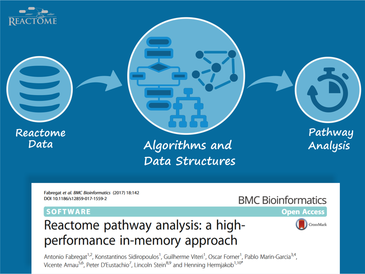 reactome's tweet image. Check out our new pathway analysis paper explaining the usage of efficient data structures &amp;amp; algorithms goo.gl/pfbNpl #usereactome
