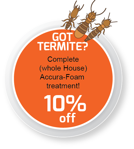 Accuracy + Termite tweet media