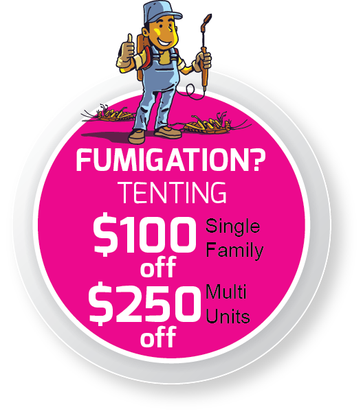 Accuracy + Termite tweet media