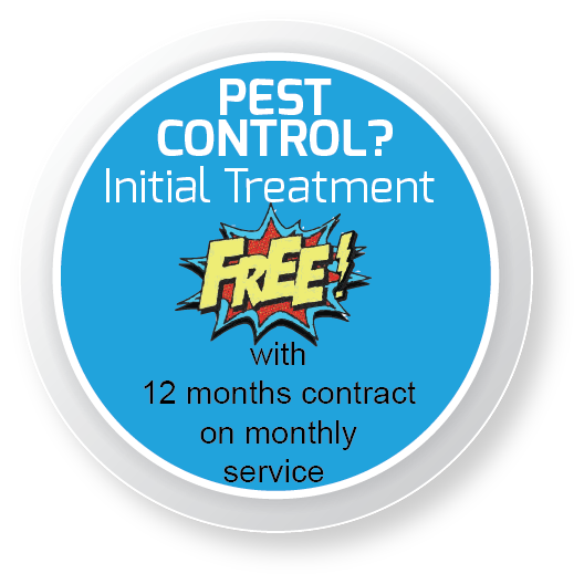 Accuracy + Termite tweet media