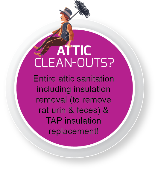 Accuracy + Termite tweet media