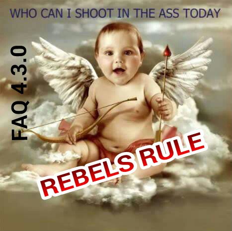 XwingArmadaGron's tweet photo. @FFGames #ffg #FAQ4.3.0 #rebels #xwing https://t.co/yUQet0Vt8s