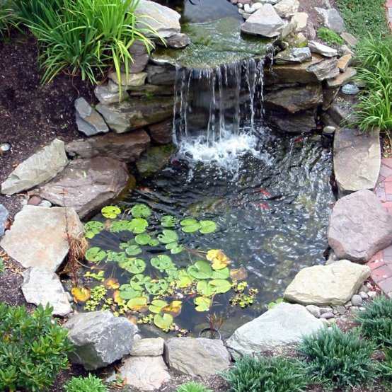 Suara gemericik air itu memang meneduhkan.. Yuk hadirkan air terjun kecil di kolam ikan koi. Simak tipsnya di:
edupaint.com/eksterior/kola…